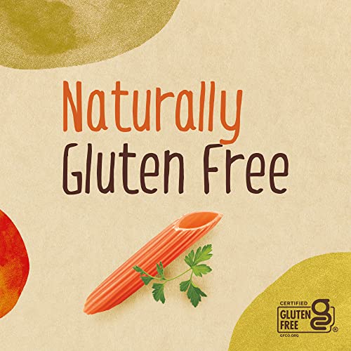 Barilla Red Lentil Spaghetti & Penne Pasta Variety Pack, 8.8 Oz (Pack Of 6) - Vegan, Gluten Free, Non Gmo & Kosher - High Protein Pasta Made With Plant Based Protein #TOP7