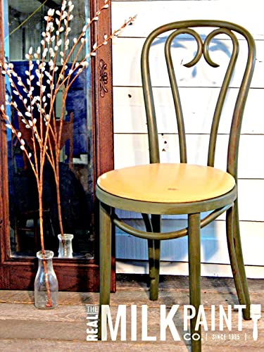 Real Milk Paint, Wood Paint For Furniture, Matte Paint For Cabinets, Walls, Brick, And Stone, Water Based Organic, No Voc, Earth Green, 1 Pint #TOP3