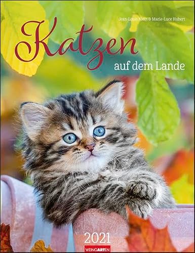 Katzen auf dem Lande - Kalender 2021