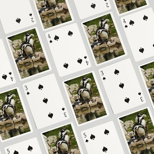 Baraja de Póker Humboldt Penguins, 52 cartas para adultos miniatura 4