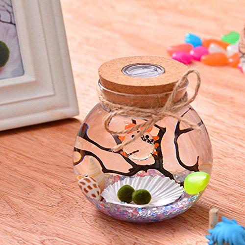 Wxlaa Round Glass Plant Terrarium With Colorful Led Light Tabletop Glass Planter For Succulent Water Planting Jar Grow Hydroponic Plants Office Home Decoration 11Cm #TOP3