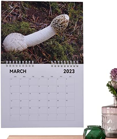 Ailopta Wall Calendar 2023, Funny Natural Calendar from Jan. 2023 - Dec.2023, Monthly Hangable Wall Calendar, Funny Christmas New Year Prank Item Gift