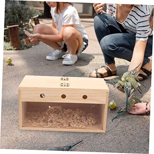 Maison d'oiseaux en bois pour observer les perruches dans le jardin
