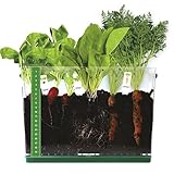 Fat Brain Toys Grow & See Vegetable Garden - Root Viewer Desktop Terrarium, 6+