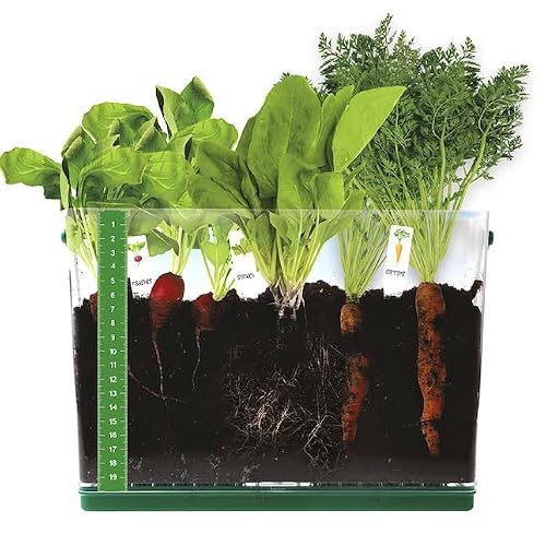 Fat Brain Toys Grow & See Vegetable Garden - Root