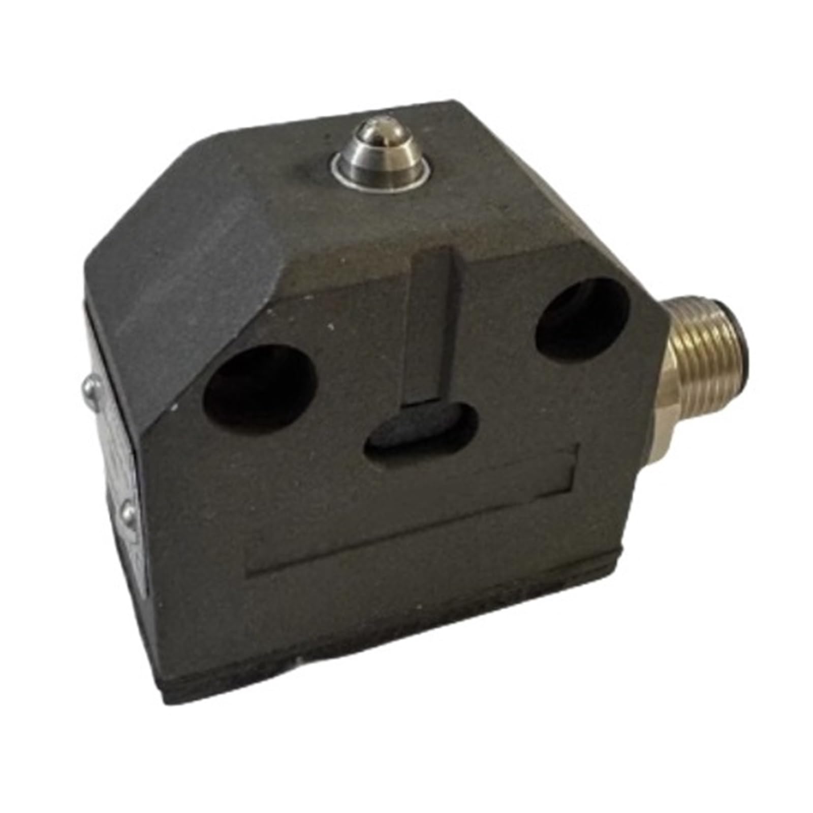 Capteur de fin de course mécanique BNS519-100-R-11 pour automatisme et machine outil