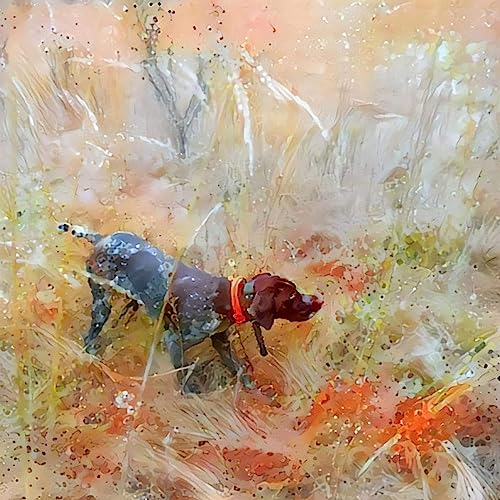 #002 - New Mexico Quail Camp with Bobbe Carney | Dog Trainer