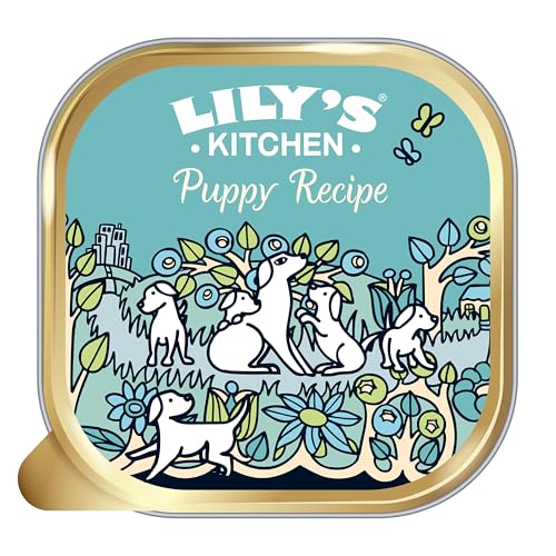 Lily's Kitchen - Complete Natural Adult Dog Food Wet (10 x 150g Trays)