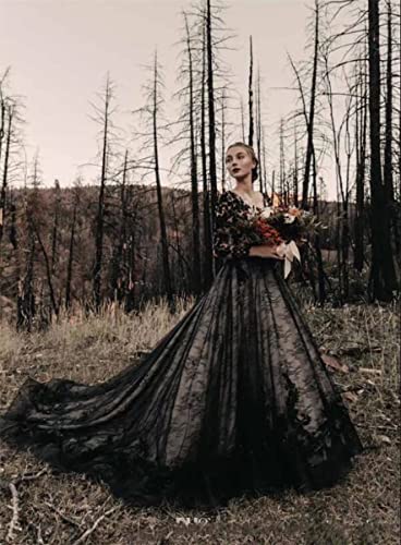 Trhtx Women's Lace Black Wedding Dresses For Bride 2022 Gothic V Neck Bridal Gowns Long Sleeve Wedding Gowns With Train Size 16 #TOP3