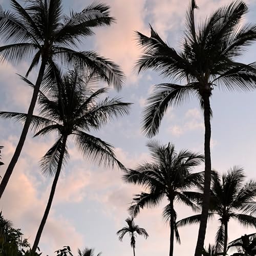 DJ A:MN ‒ Koh Samui DJ Set, 2026