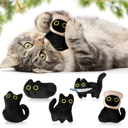HubirdSall Black Cat Crinkle Toys