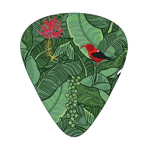 nC̔MщJт̖̒ڌ M^[sbN Guitar Pick 12Zbg eBAhbv^ GLM^[/AR[XeBbNM^[/NVbNM^[/x[X̗KɍœK12Zbg