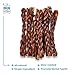 GigaBite 12 Inch Odor-Free All Natural Braided Bully Sticks by Best Pet Supplies - Pack of 10