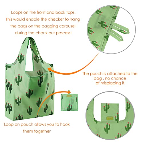 La Mejor review de Comprar cactus los 10 mejores. 3 Imagen adicional