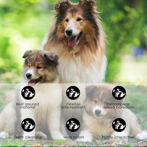 Hundekauspielzeug aus Holz, Kaffee-Holz, Hundekaustab für regelmäßiges Kauen, 100% natürliches Spielzeug sicher, Hundezahnreinigung & Stressabbau, Bio-Spielzeug geeignet für große Hunde und Welpen bis