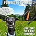 GIZZY® 2X Hundepfeife lauter & weitreichender Pfeifton I 2X Hundepfeifen ideal als Erziehungshilfen für Hunde I Zum Hundetraining u. als Hundepfeife Rückruf geeignet I Inkl. wertigem Band (orange)
