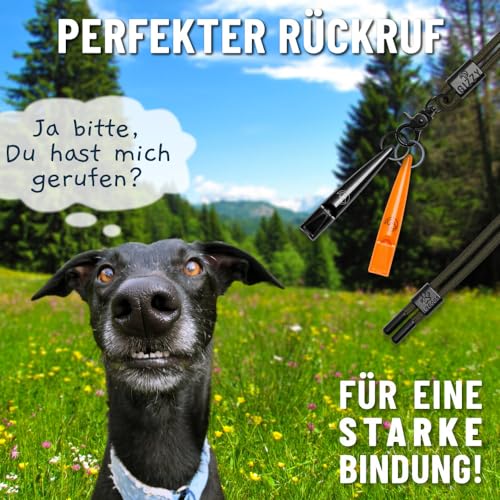 GIZZY® 2X Hundepfeife lauter & weitreichender Pfeifton I 2X Hundepfeifen ideal als Erziehungshilfen für Hunde I Zum Hundetraining u. als Hundepfeife Rückruf geeignet I Inkl. wertigem Band (orange)