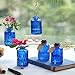 ELEGANTTIME Cobalt Blue Glass Bud Vase Small Flower Vase Mini Bottle with Cork Wire Handle Design for Deco Cafes, Office Table, Home and Garden(Set 5)
