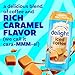 International Delight Iced Coffee, Caramel Macchiato, 15 Fl Oz (Pack of 12)