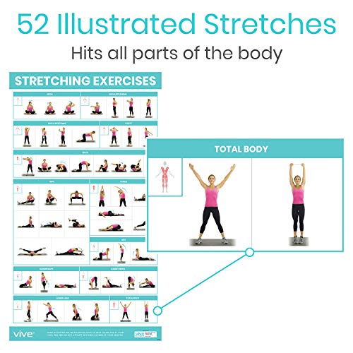 image for Vive Workout Posters for Home Gym - 52 Streching Exercises Full Body W