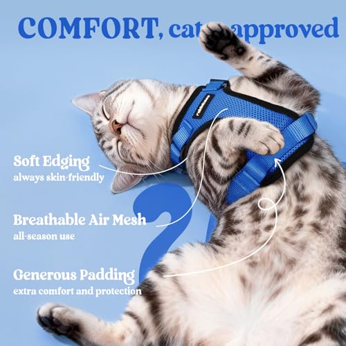 image for rabbitgoo Cat Harness and Leash for Walking, Escape Proof Soft Adjusta