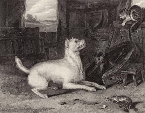 Peintures l'intrus par Edwin Landseer, habillez un grand mur de bureau vide