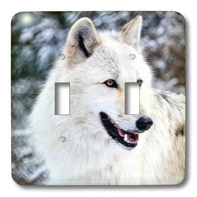 Rocky Mountain Grey Wolf interrupteur à bascule gris pour remplacer une plaque murale blanche