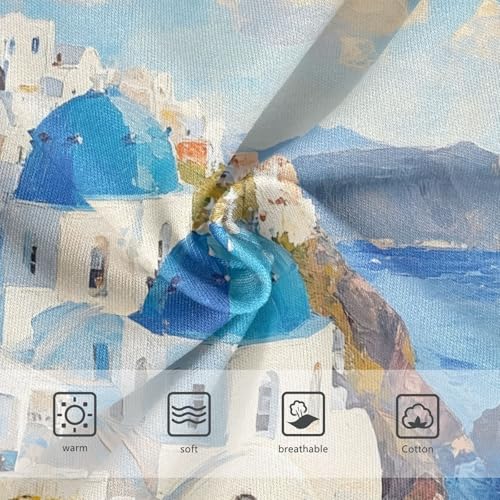 Vivid Oil Painting Santorini Toddler Girls's Underwear 2T 202c02333