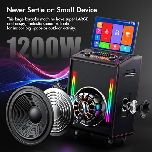 High Power Karaoke Machine with Display