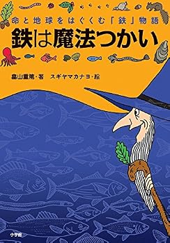 Tankobon Hardcover Iron witch (2011) ISBN: 4092271522 [Japanese Import] Book