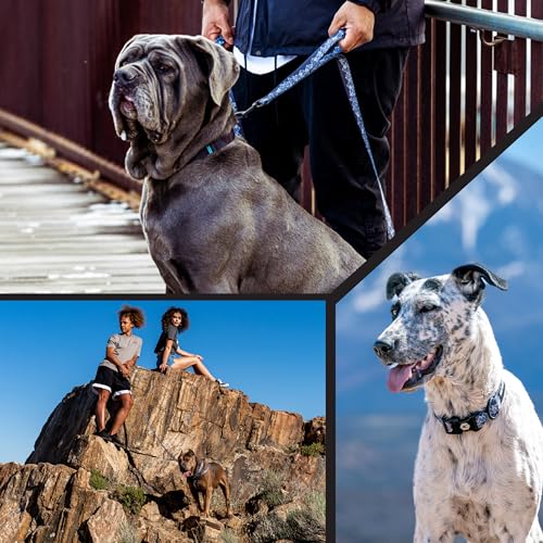 Wolfgang Heavy Duty, Adjustable Dog Collar with Quick Release Nylon Buckle for Walking & Training, WolfMountain Print, Small by Wolfgang Man & Beast - Image 6