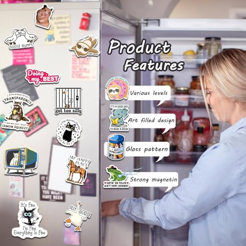 6 peças de imãs de geladeira engraçados meme de ganso, ímã de geladeira bem-humorado para amantes de gansos, presentes para mulheres, gansos, ímãs de geladeira, jogos, cozinha, decoração de casa