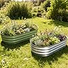 AmazStove Galvanized Raised Garden Bed Kit, Planter Garden Boxes Outdoor, Oval Large Metal for Vegetables Fruits, Flowers Planter Boxes, Easy Assembly Garden Bed Kit (Silver, 4×2×1FT (2-Pack) #5