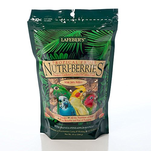 LAFEBER’S Tropical Fruit Nutri-Berries Pet Bird Food, Made with Non-GMO and Human-Grade Ingredients, for Cockatiels Conures Parakeets (Budgies) Lovebirds (Tropical Fruit 10 oz)
