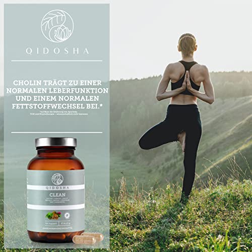 QIDOSHA® CLEAN Leber Komplex Kapseln, TESTSIEGER 01/2024*, 120 Kapseln im Apothekerglas, Leber-Kur ², mit Glutathion, Chlorella, Liponsäure, Cholin, NAC, Guduchi, Reishi, Mariendistel, Löwenzahn, Zimt – Bild 8