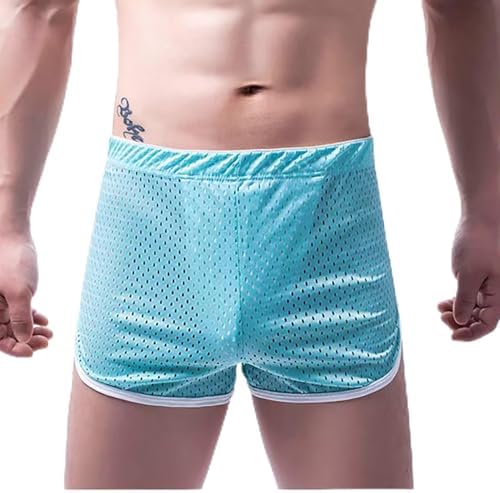 Men's Mesh 3 Inch Workout Shorts Breathable Quick Dry Lounge Running Sexy Gym Athletic Fitness Casual Short