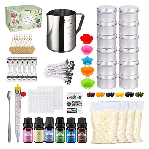 Candle Making Kit, Deluxe Candle Making Supplies, DIY Craft and Arts Kits, Including Pouring Pot, Beeswax, Color Dye, Fragrance Oil, Thermometer, Candle Tins, Molds, Wicks, Stickers, Wicks Holders