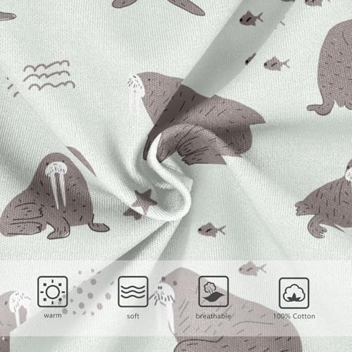 Boys' Underwear Cotton Little Boys Walrus Briefs Soft Toddler Underwear 2T-8Y3