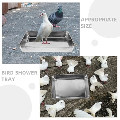 Bañera para pájaros de acero inoxidable para jaulas de loros y palomas 6