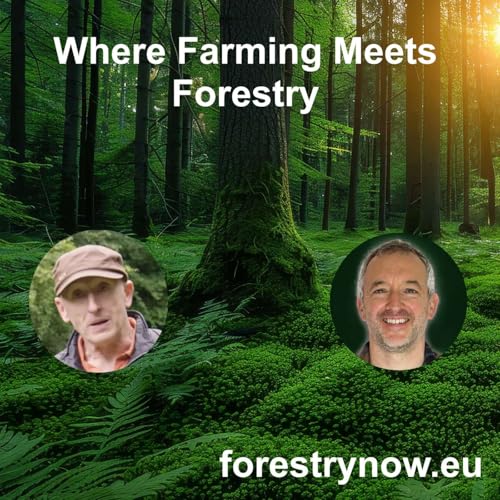 Where Farming Meets Forestry - with Andy Dunne