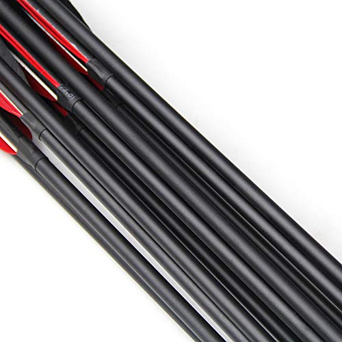 Trintion 12 Pcs 30 Inch Archery Carbon Arrows Spine Fiberglass Practice