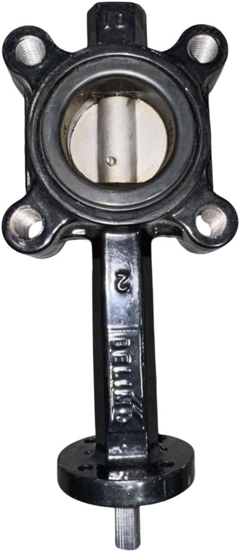 2” x 2 way butterfly valve body PN F650HD