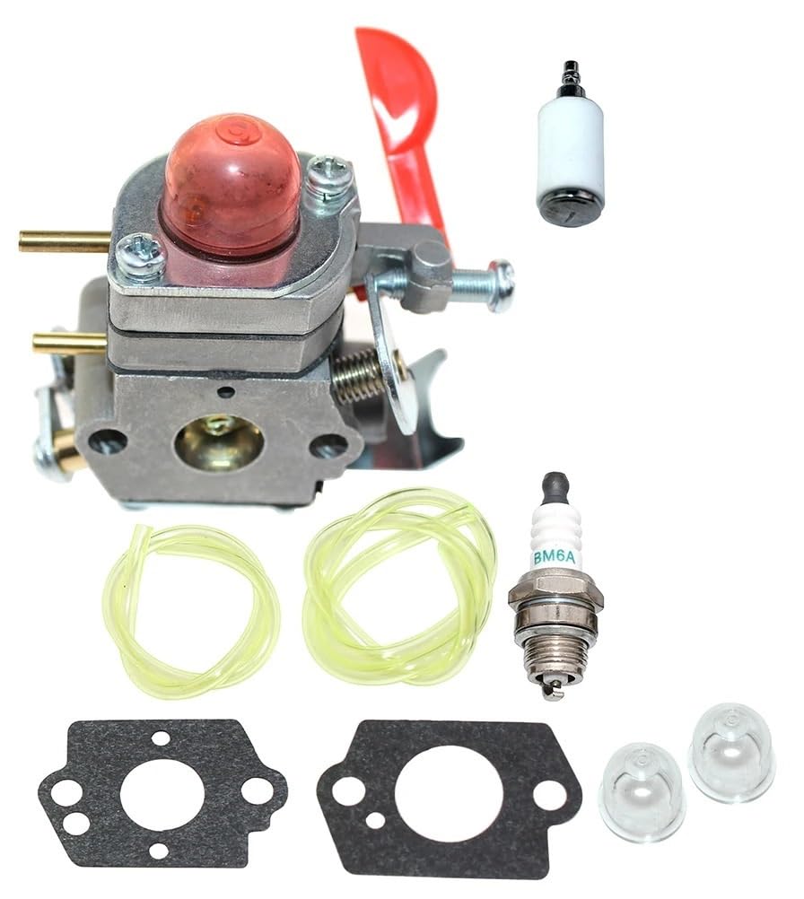 Carburateur MC025 MC125 530071811 moteur thermique thermique WT-670 C1U-W19