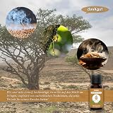 DasXgut - BIO Weihrauchöl 30 ml [100% NATURREIN] - Reines Weihrauch Öl - Duftöl Parfumqualität - Nachhaltiger Wildwuchs - Frankincense Oil E5004119 BG-BIO-02