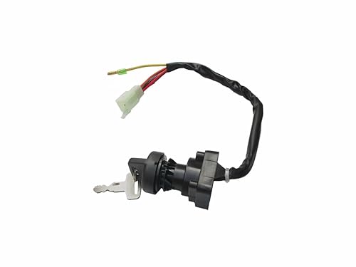 Interruptor de llave de contacto para Suzuki LT230E Quad Runner 230 LT-230E 1987-1993 SWICTH
