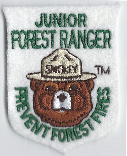 Smokey The Bear Vintage Prevent Forest Fires Iron On Patch - 1961 ...