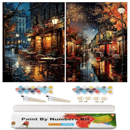 Peinture par numéros pour adultes : lot de 2 kits de tableaux à peindre soi-même 30x40 cm