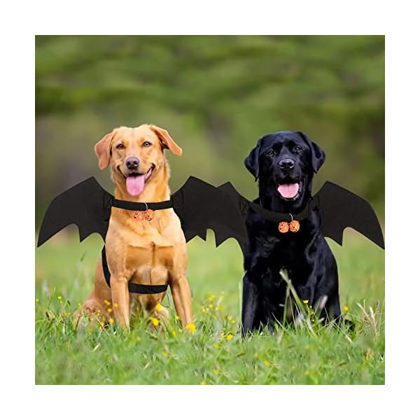 Bowtus halloween dog bat wings pet costume with pumpkin bells for halloween party decorations, cute puppy dog and cat collar bat wings cosplay party dress up funny cool appare(x-large) - image 8
