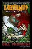 Labyrinth (The Nameless Detective Book 6)
