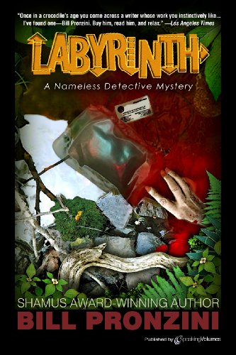 Labyrinth (The Nameless Detective Book 6)